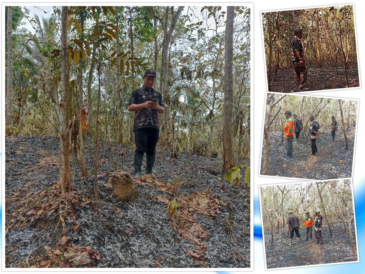 KEBAKARAN HUTAN DI DESA SAMPING